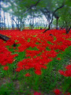 ����̙֎썹�؁�