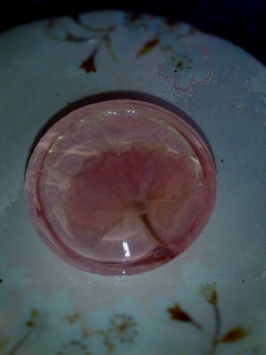 ���[���[��