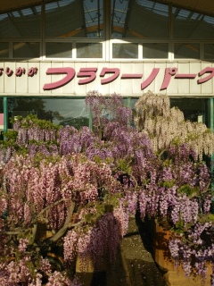 �y���������t�����[�p�[�N�z