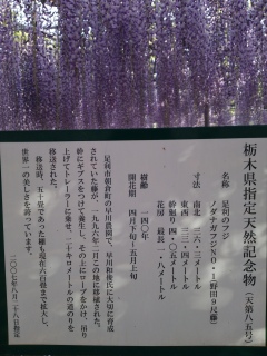 �y�Ȗ،��w��V�R�L�O���z���������t�����[�p�[�N