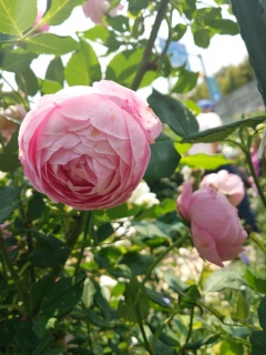 �y���U���A�������q�o�����z