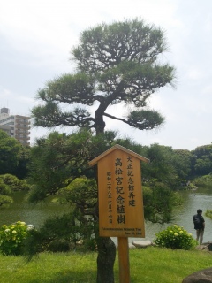 �s�w�薼���y�����뉀�z