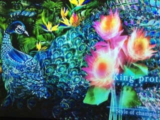 �yFLOWERS BY NAKED ���f�̊y���z�����~�b�h�^�E��